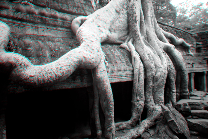 Ta Promh, Angkor, Cambodge, le 2 ao&ucirc;t 2008