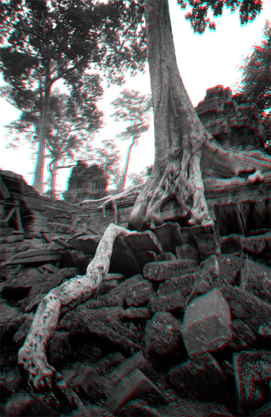 Ta Promh, Angkor, Cambodge, le 2 ao&ucirc;t 2008