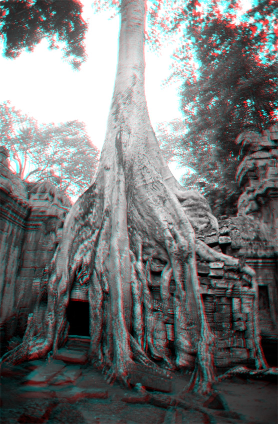 Ta Promh, Angkor, Cambodge, le 2 ao&ucirc;t 2008
