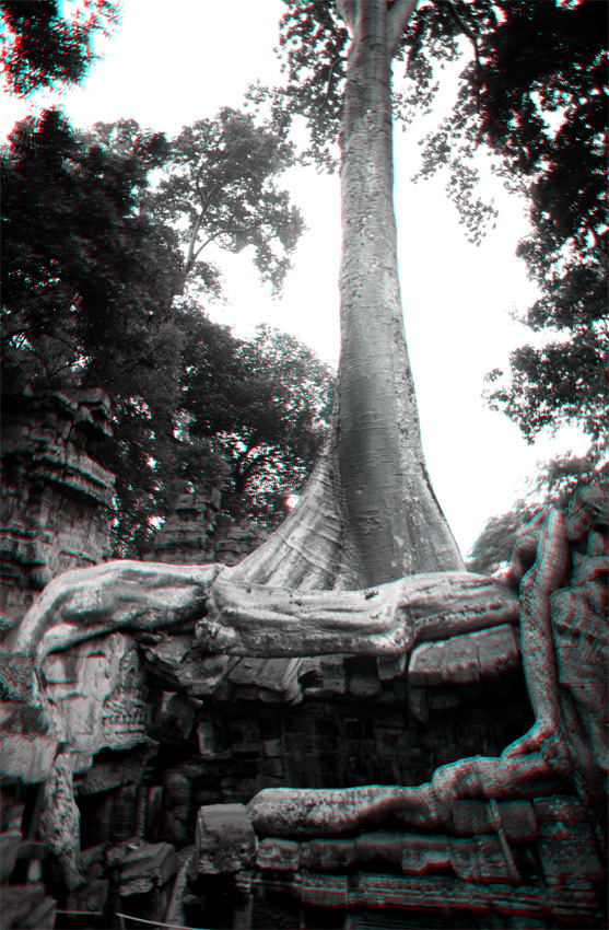 Ta Promh, Angkor, Cambodge, le 2 ao&ucirc;t 2008