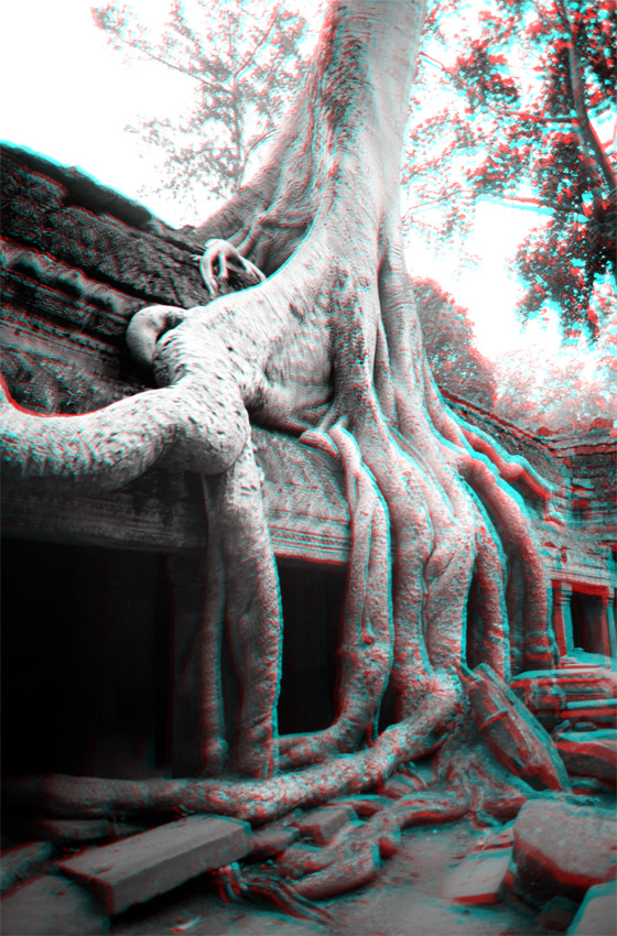 Ta Promh, Angkor, Cambodge, le 2 ao&ucirc;t 2008