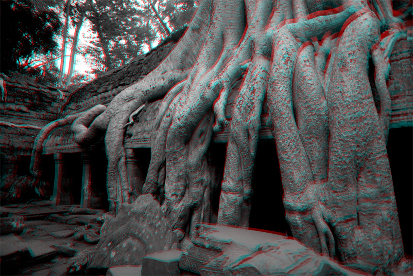 Ta Promh, Angkor, Cambodge, le 2 ao&ucirc;t 2008