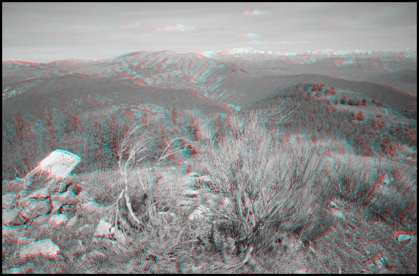 Paysage de Provence, mai 2006