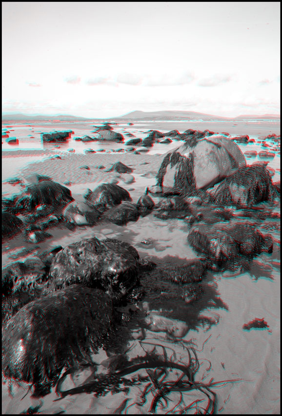 Irlande, Mayo, Silver Strand, avril 2006 